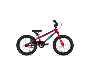 2021-coaster-16-pink-blue