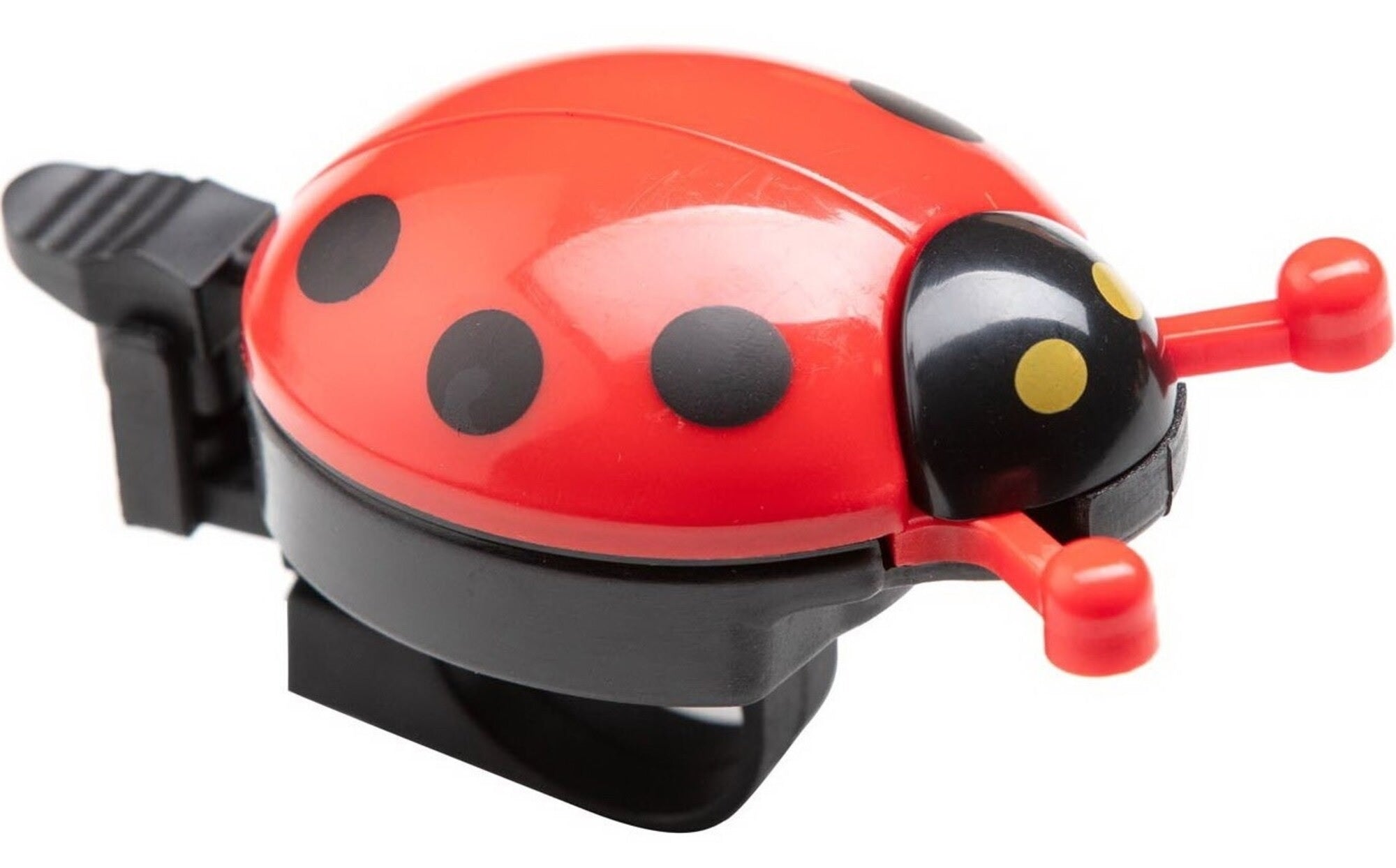 49n_ladybug_1