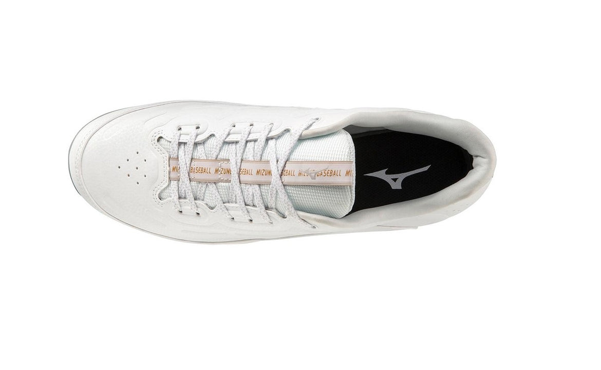 ambition3_tpu_low_wht_3