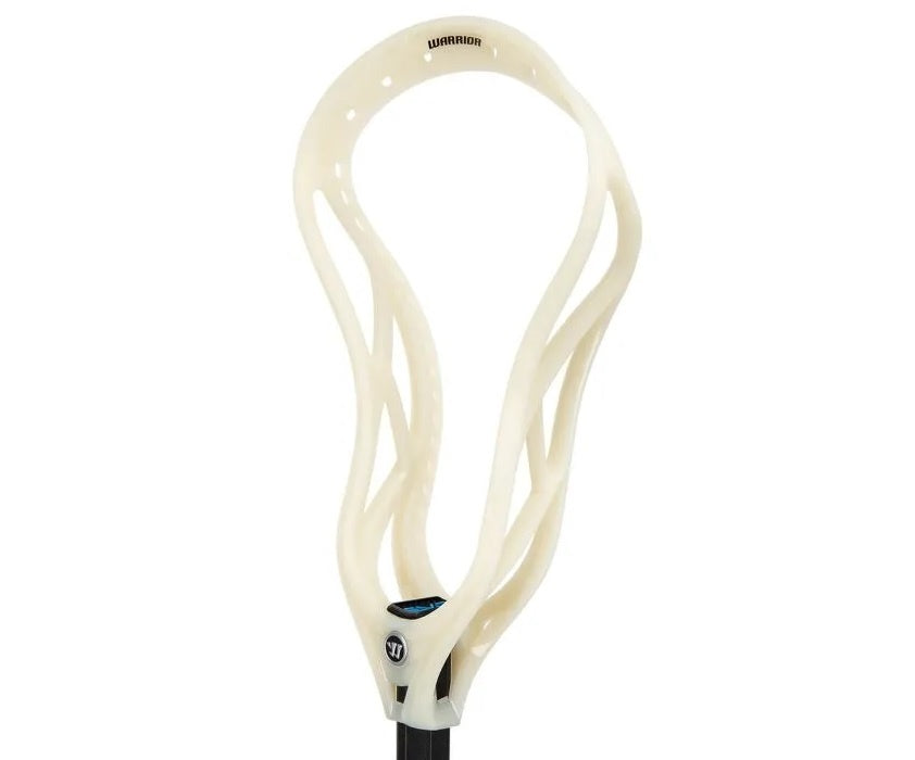 Evo_Qx-2_D_Nat_bone_2