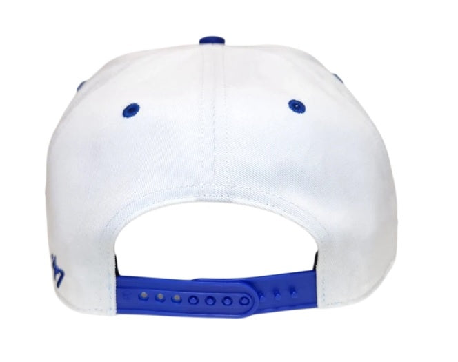 florida_gators3