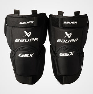 gsx_s25_1