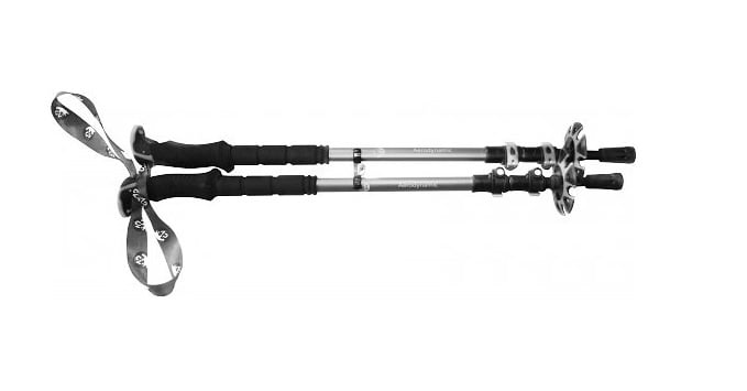 gv_trai_pole_1