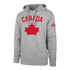 hoodie_grey_1