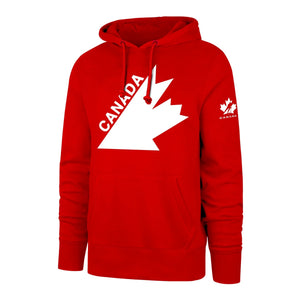 hoodie_red_vintage_1