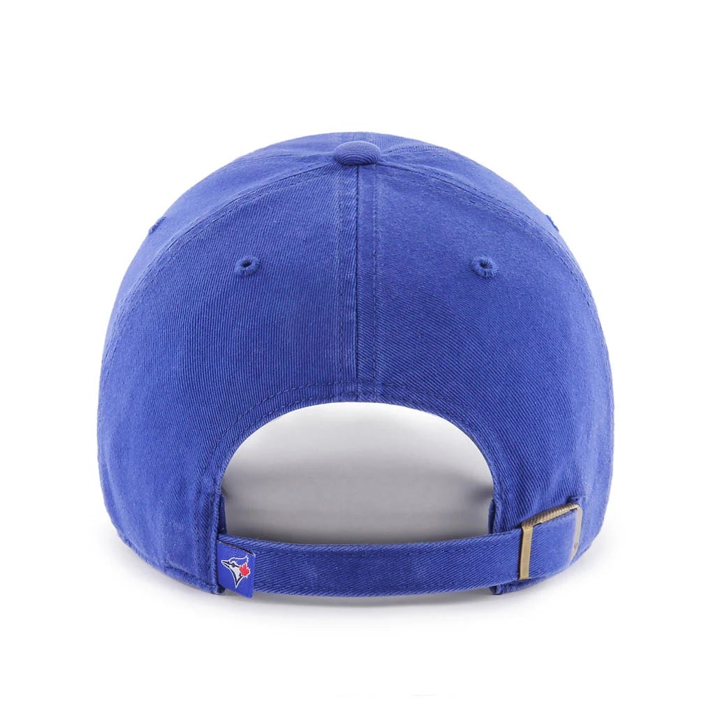 jays_cleanup_blue_2