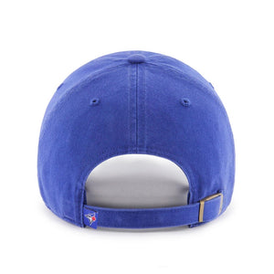 jays_cleanup_blue_2