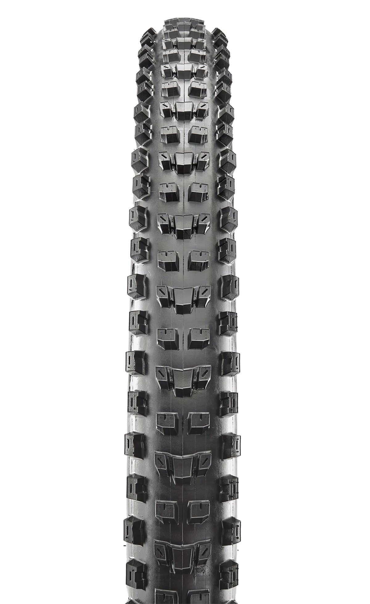 maxxis_dissector_2