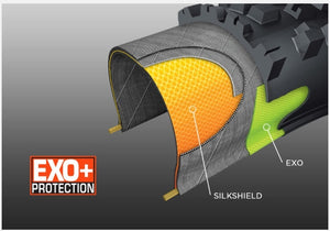 maxxis_exo+_1