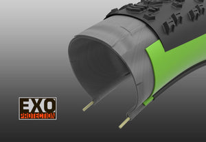 maxxis_exo-protection