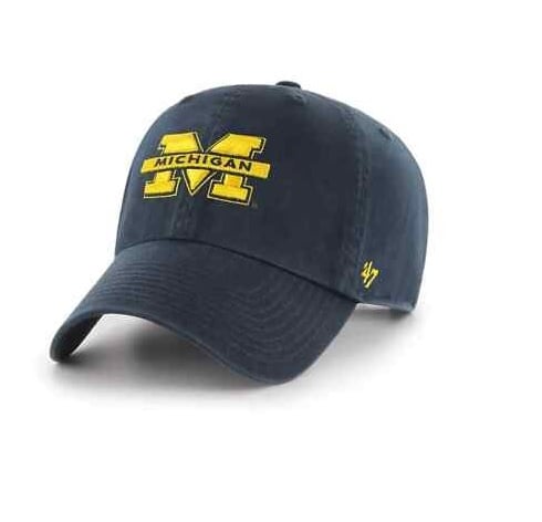 michigan_cleanup-1