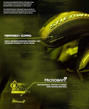 morph_1_SP_deets_4
