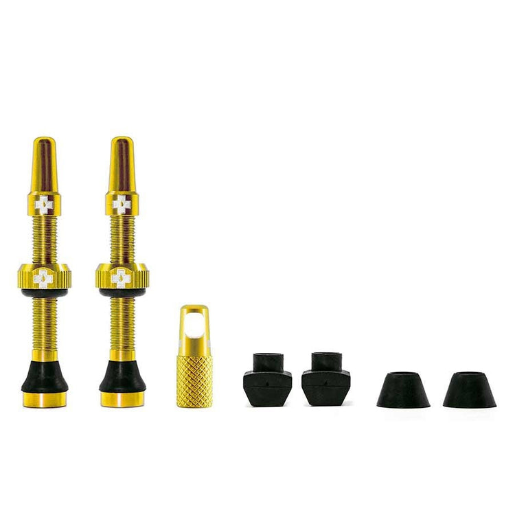 mucoff-valves_gold_030152_1