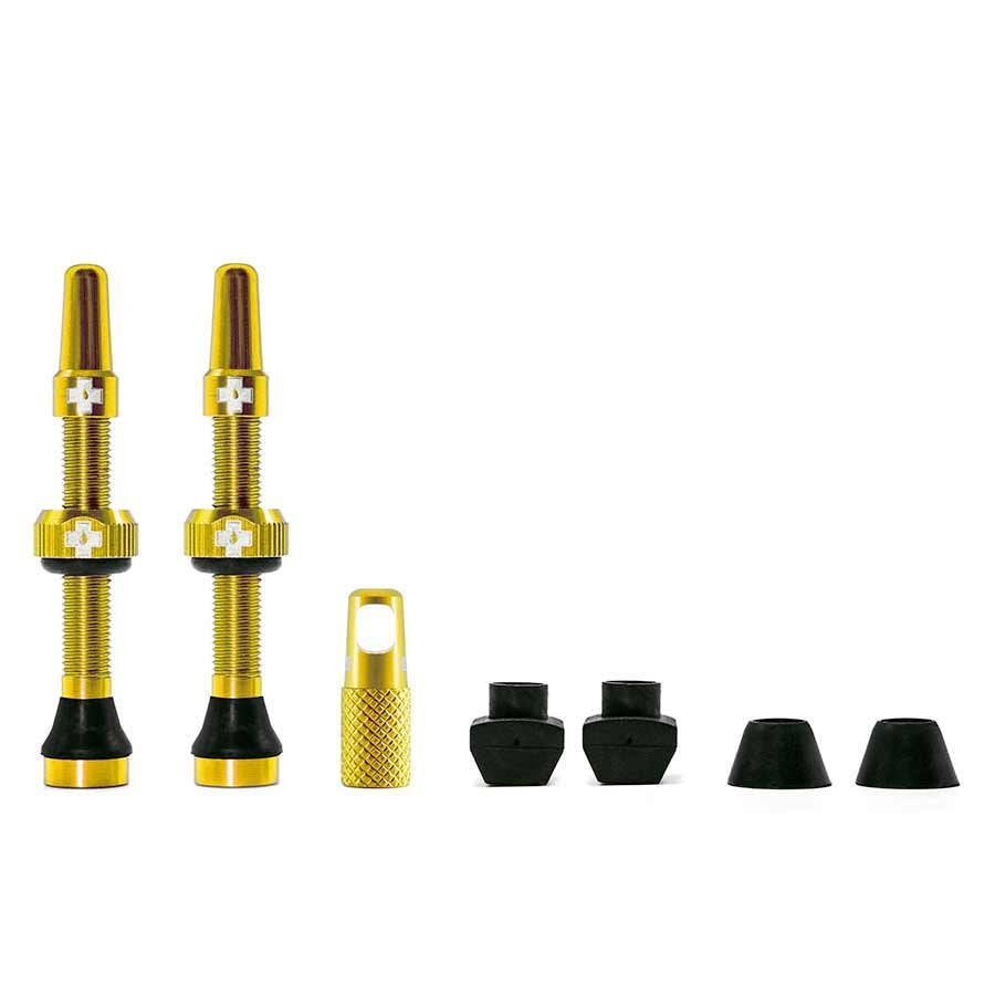mucoff-valves_gold_030152_1