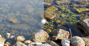 oakley_polarized_lens_sample1