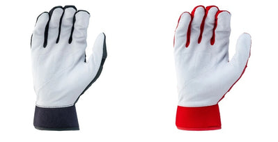 prime2_palm-1