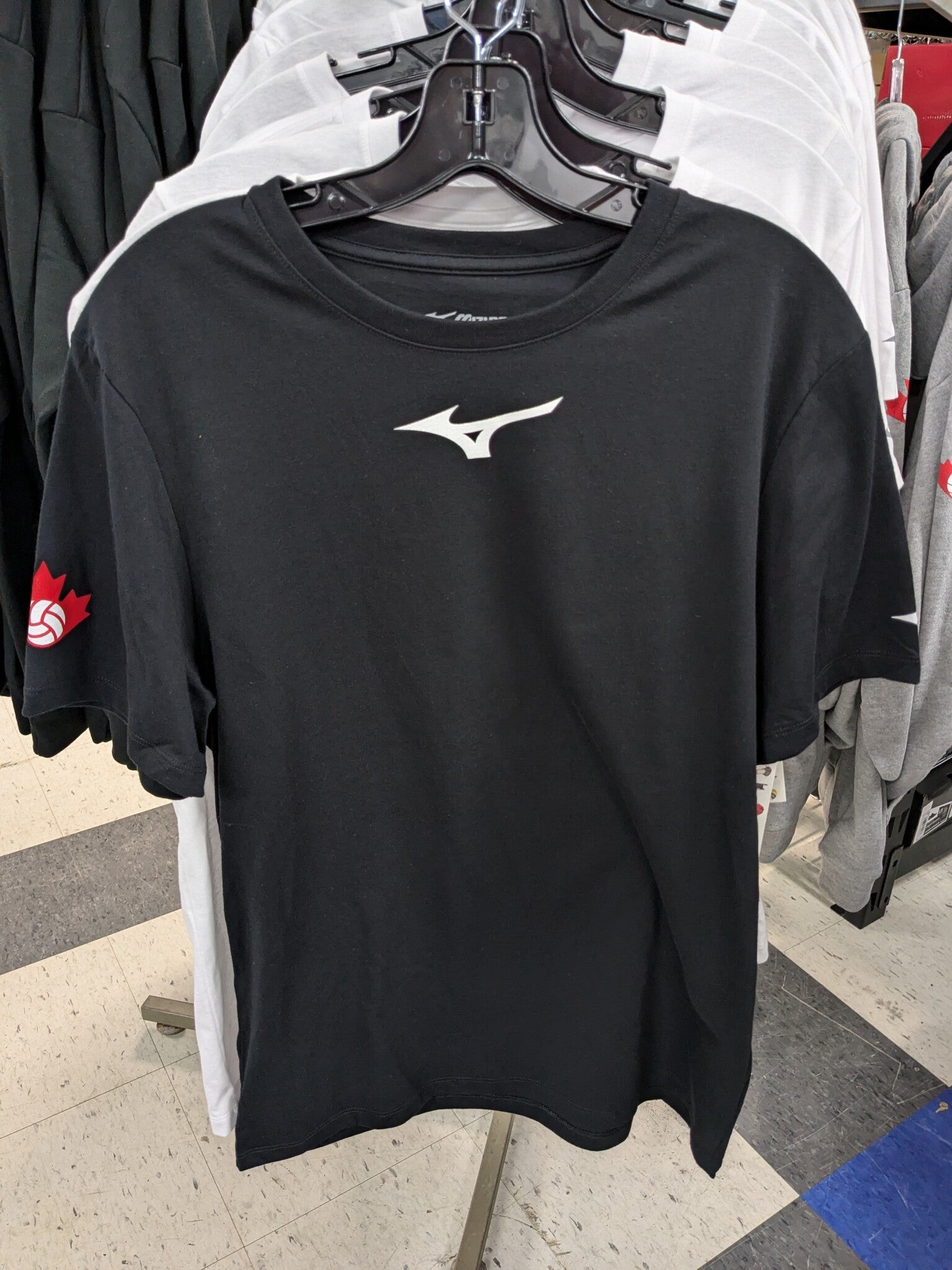 PXL_20241023_173747572