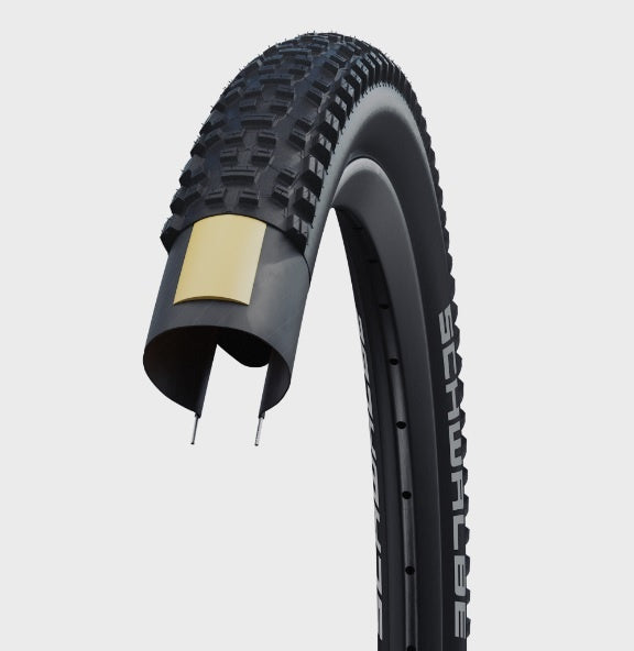 schwalbe_rapid_rob_3