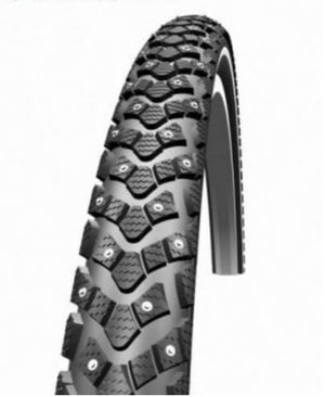 schwalbe_winter_1