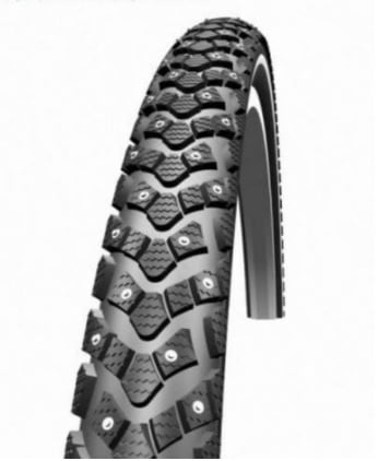 schwalbe_winter_1