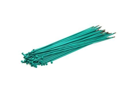 spokes_teal