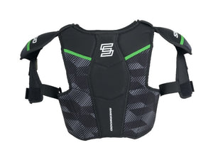 SR_2