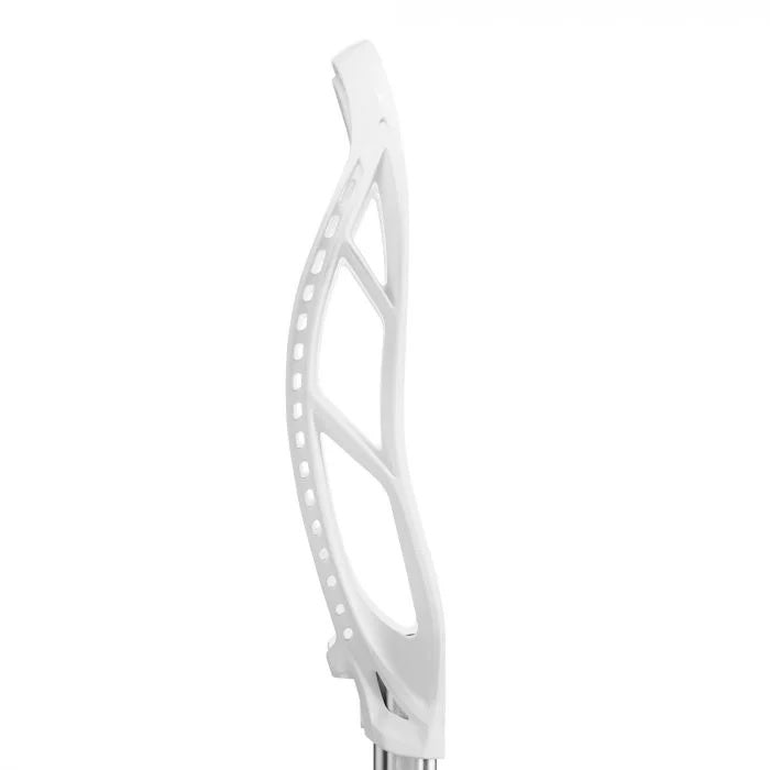 stallion_1K-wht-3