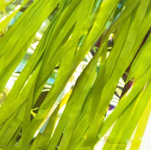 tassles_49N_green