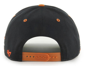 texas_longhorns_3