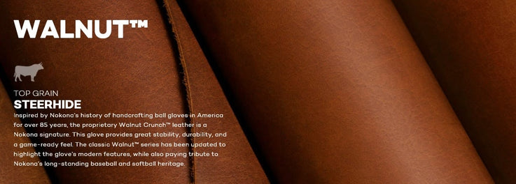 walnut_banner
